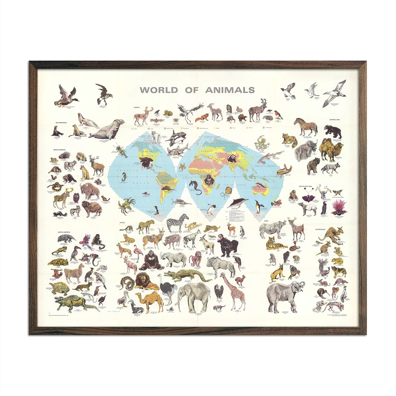 Vintage Map Best Sellers